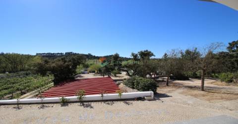 Herdade  Venda em Raposa,Almeirim