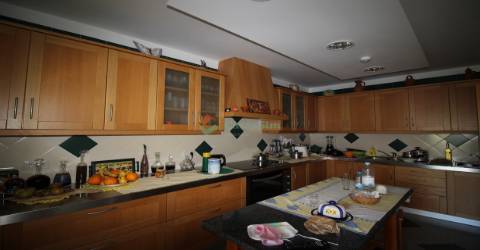 Herdade  Venda em Raposa,Almeirim