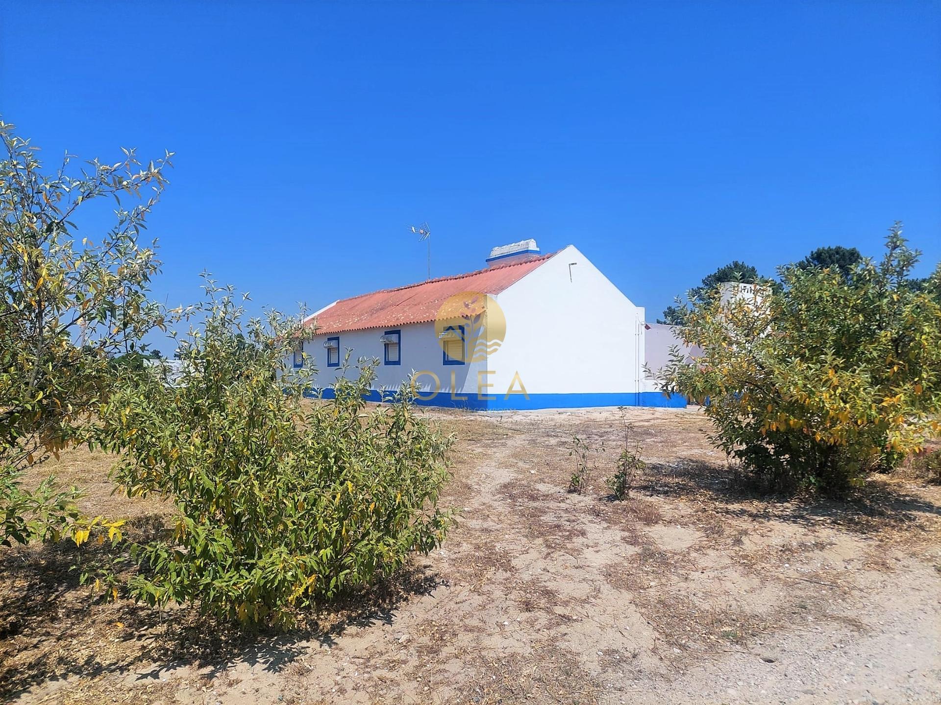 Lote único com uma casa de campo tipica alentejana - 5 minutos até à praia de Carvalhal