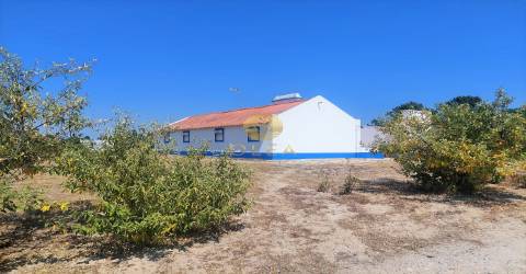 Lote único com uma casa de campo tipica alentejana - 5 minutos até à praia de Carvalhal