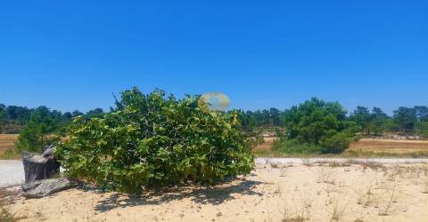 Lote único com uma casa de campo tipica alentejana - 5 minutos até à praia de Carvalhal