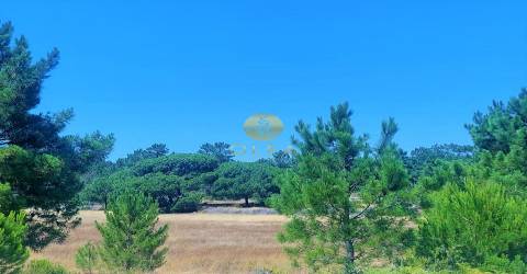 Lote único com uma casa de campo tipica alentejana - 5 minutos até à praia de Carvalhal