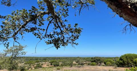 Terreno  com vista para o mar nas Sobreiras Altas