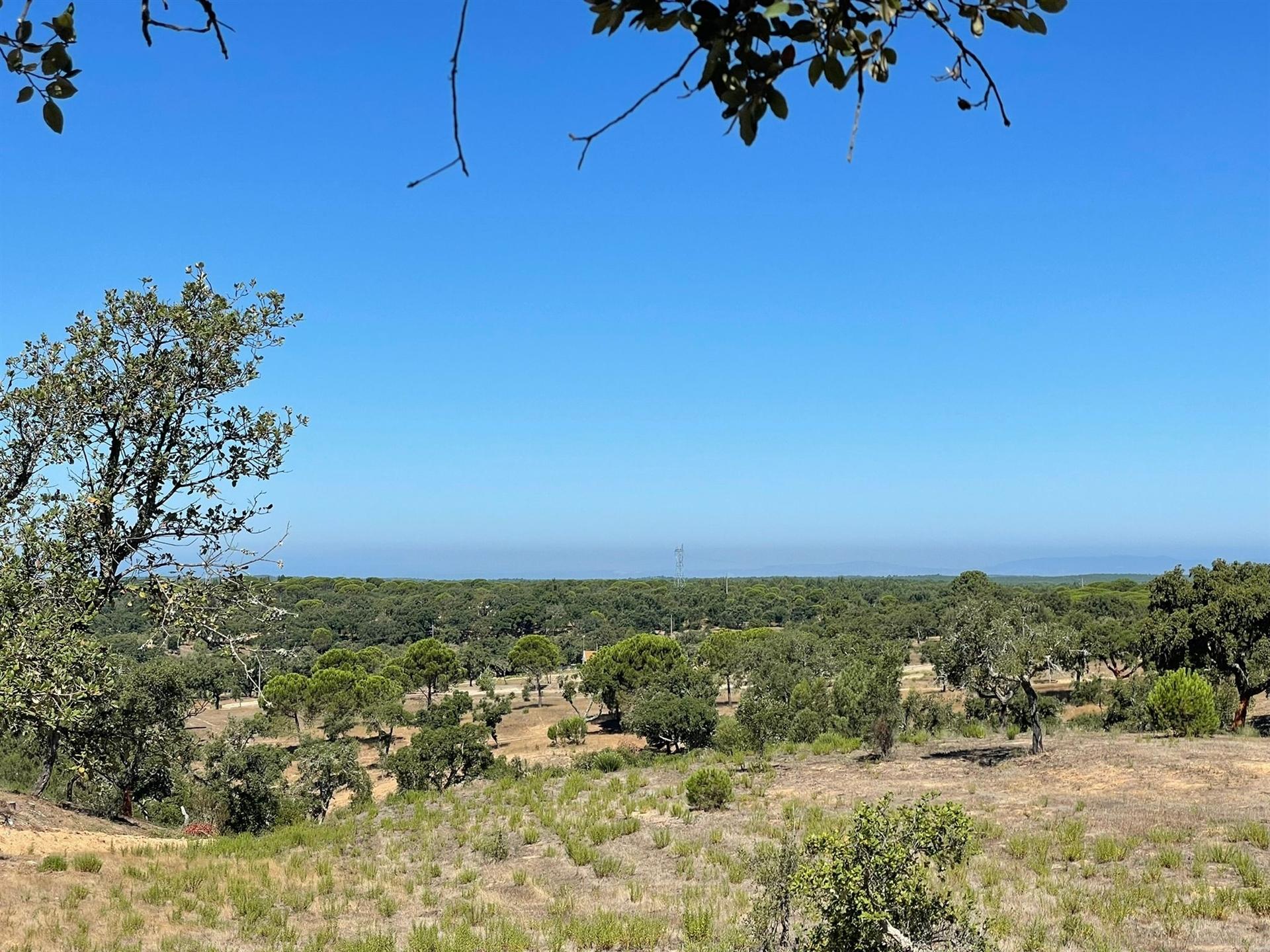 Terreno  com vista para o mar nas Sobreiras Altas