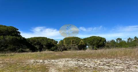Maravilhoso terreno junto à Praia da Aberta Nova (Melides)