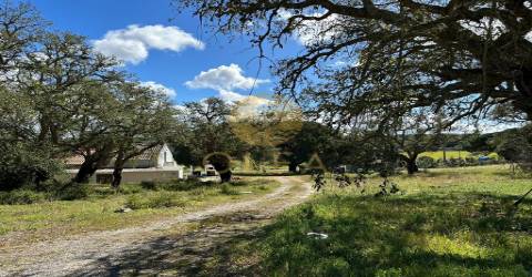 Maravilhoso terreno junto à Praia da Aberta Nova (Melides)