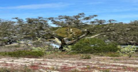 Maravilhoso terreno junto à Praia da Aberta Nova (Melides)