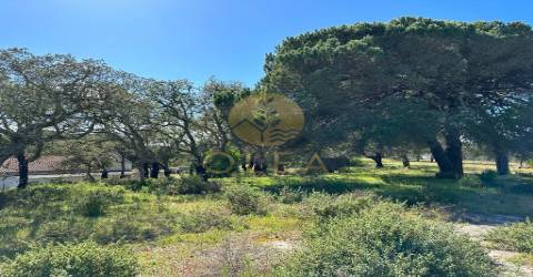 Maravilhoso terreno junto à Praia da Aberta Nova (Melides)