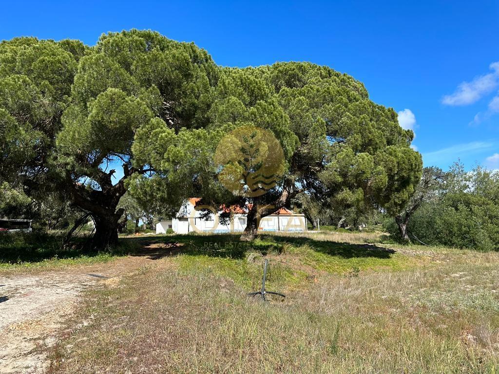 Maravilhoso terreno junto à Praia da Aberta Nova (Melides)