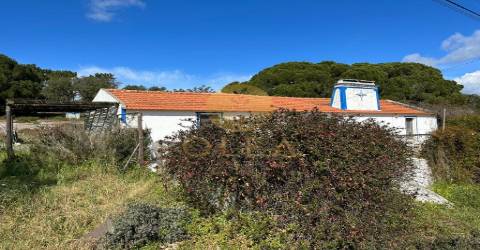 Maravilhoso terreno junto à Praia da Aberta Nova (Melides)