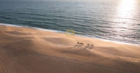 Maravilhoso terreno junto à Praia da Aberta Nova (Melides)