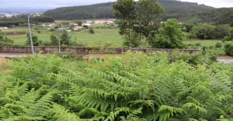 Terreno com projeto aprovado para a construção de uma Moradia T4.