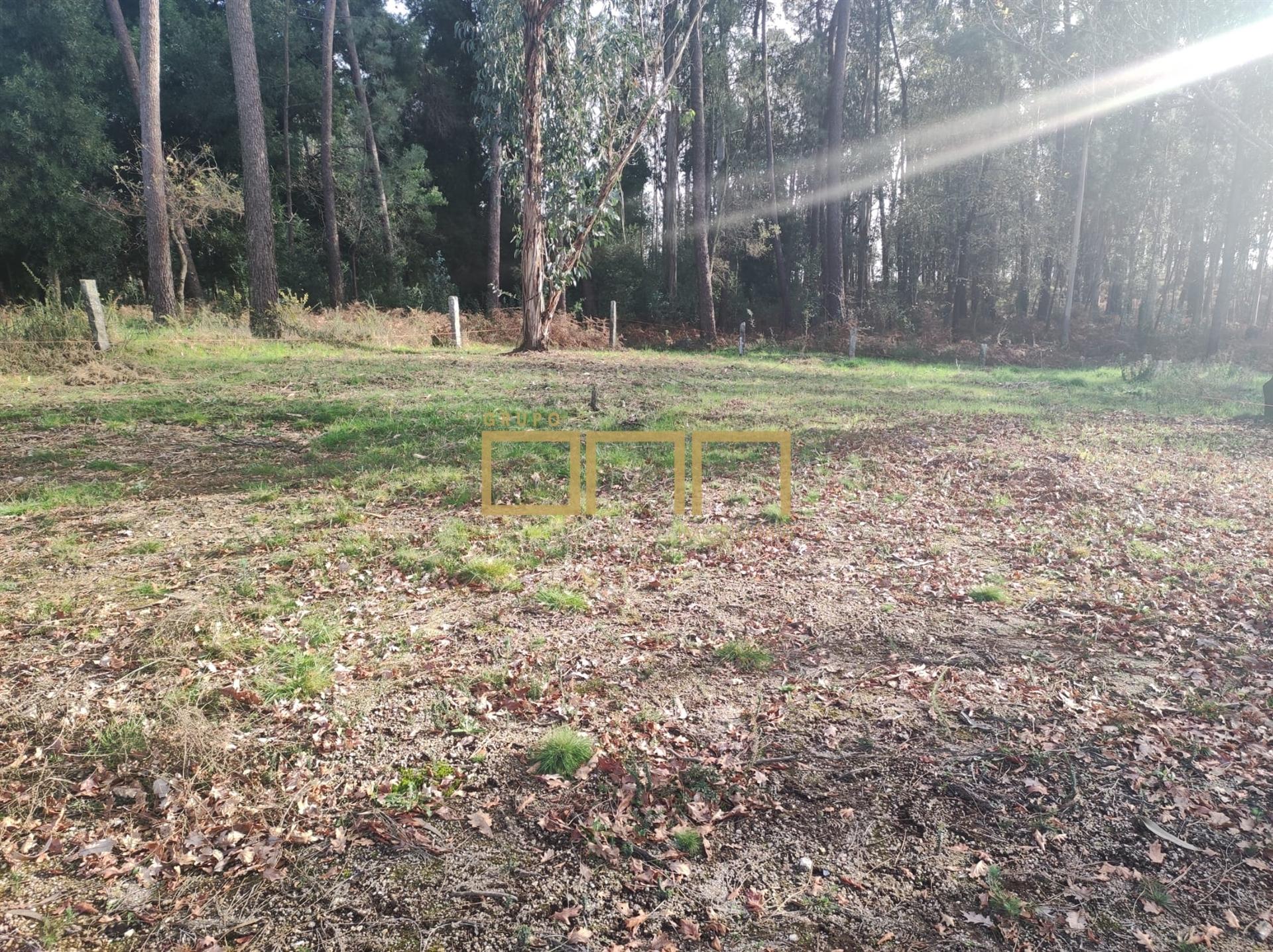 Terreno Para Construção  Venda em Várzea,Barcelos