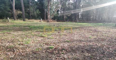 Terreno Para Construção  Venda em Várzea,Barcelos