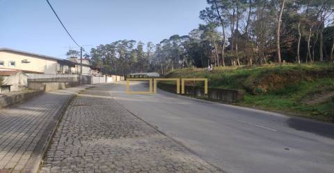 Terreno Para Construção  Venda em Várzea,Barcelos