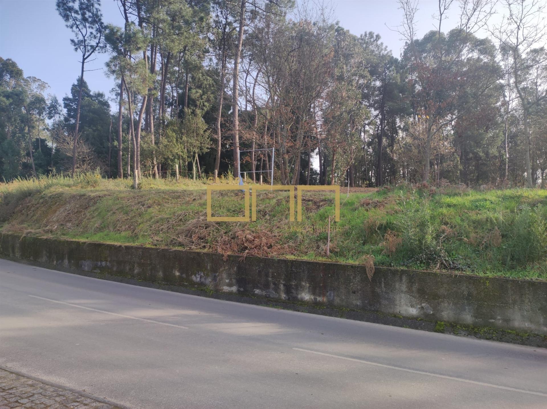 Terreno Para Construção  Venda em Várzea,Barcelos