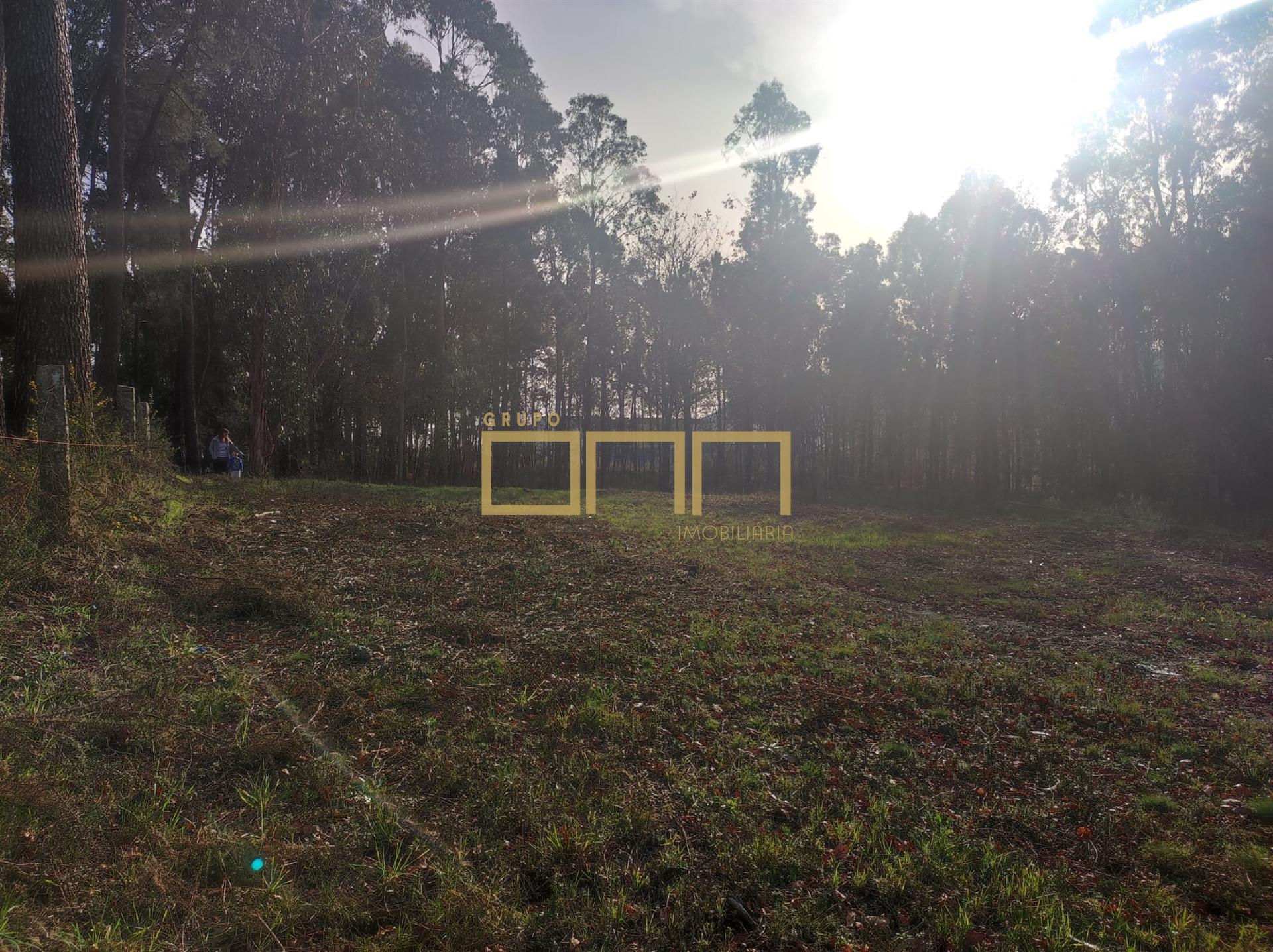 Terreno Para Construção  Venda em Várzea,Barcelos