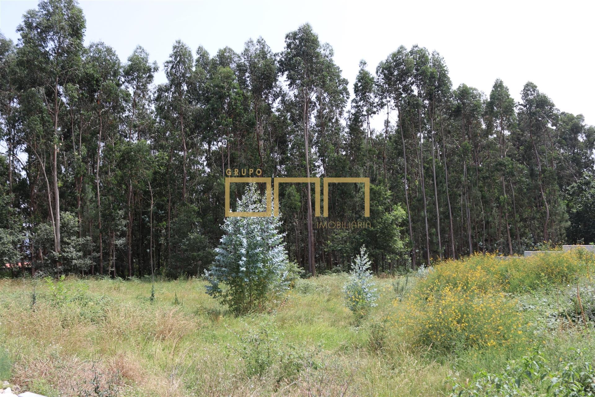 Terreno para construção