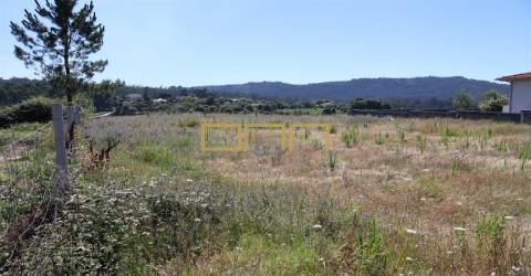 Terreno Barcelos para construção