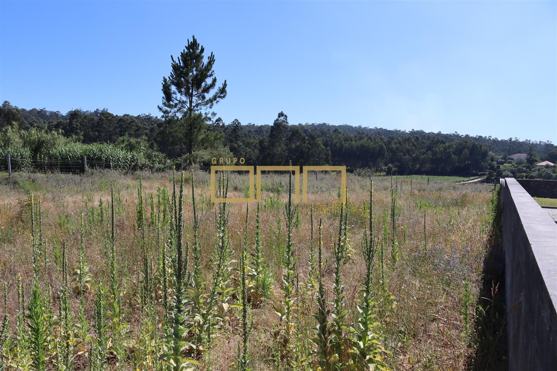 Terreno Barcelos para construção