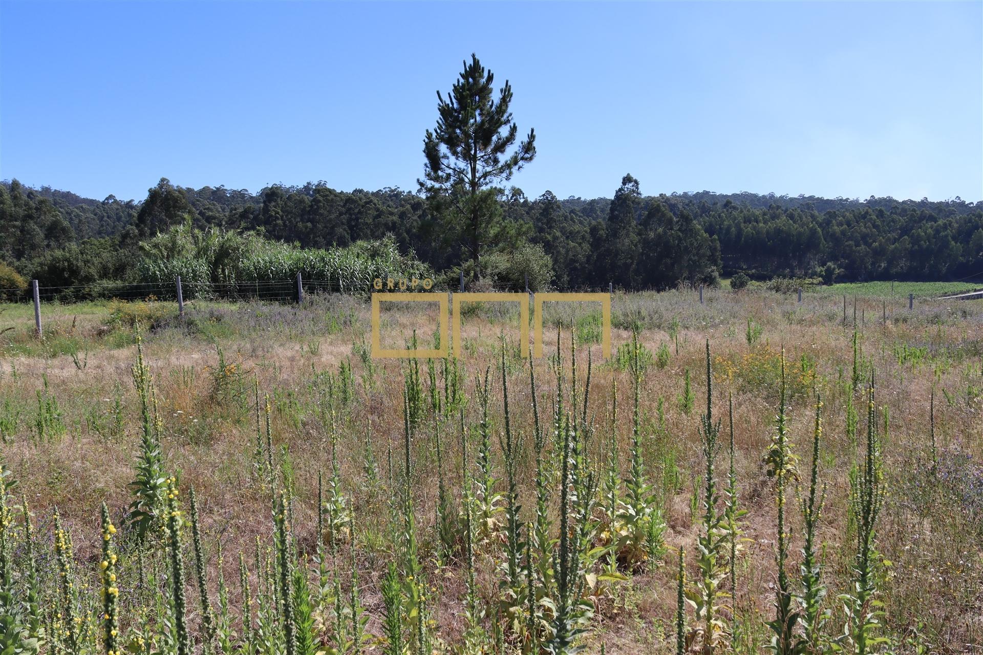 Terreno Barcelos para construção