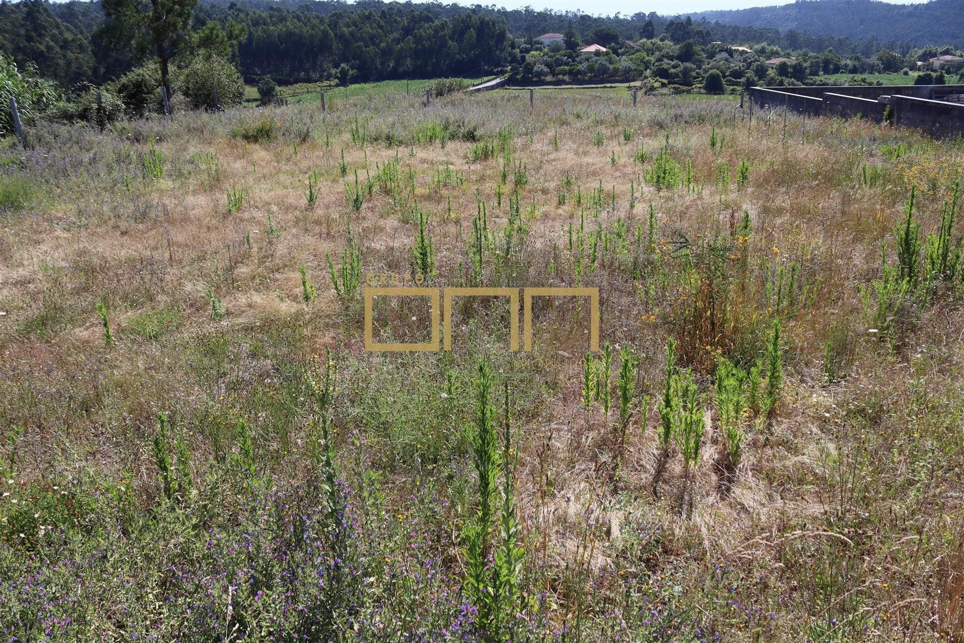 Terreno Barcelos para construção