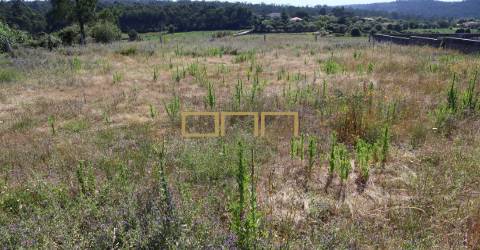 Terreno Barcelos para construção
