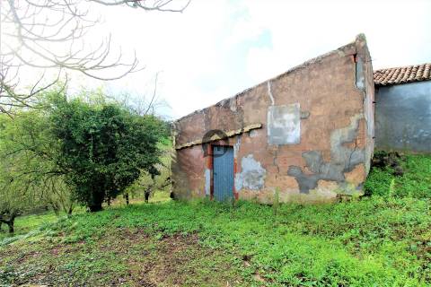 MORADIAS E ADEGA A 20 MINUTOS DE CALDAS DA RAINHA