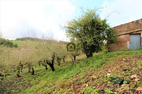 MORADIAS E ADEGA A 20 MINUTOS DE CALDAS DA RAINHA