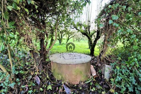 MORADIAS E ADEGA A 20 MINUTOS DE CALDAS DA RAINHA