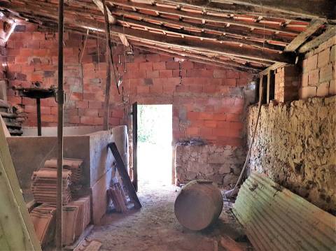 MORADIAS E ADEGA A 20 MINUTOS DE CALDAS DA RAINHA