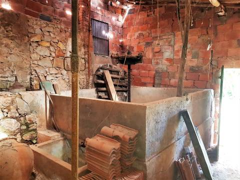 MORADIAS E ADEGA A 20 MINUTOS DE CALDAS DA RAINHA