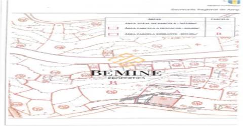 Terreno + Moradia T4 / Câmara de Lobos, Ilha da Madeira