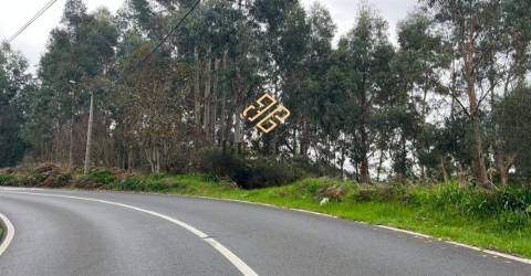 Terreno / Camacha, Santa Cruz