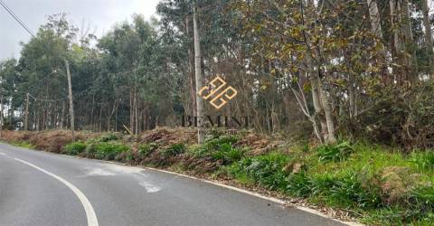 Terreno / Camacha, Santa Cruz