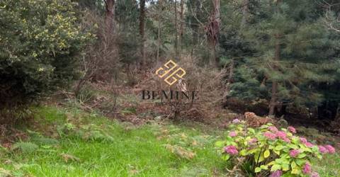 Terreno / Camacha, Santa Cruz