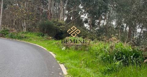 Terreno / Camacha, Santa Cruz