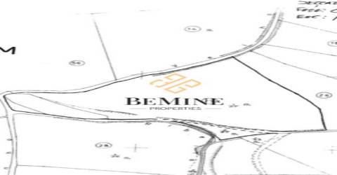 Terreno / Camacha, Santa Cruz