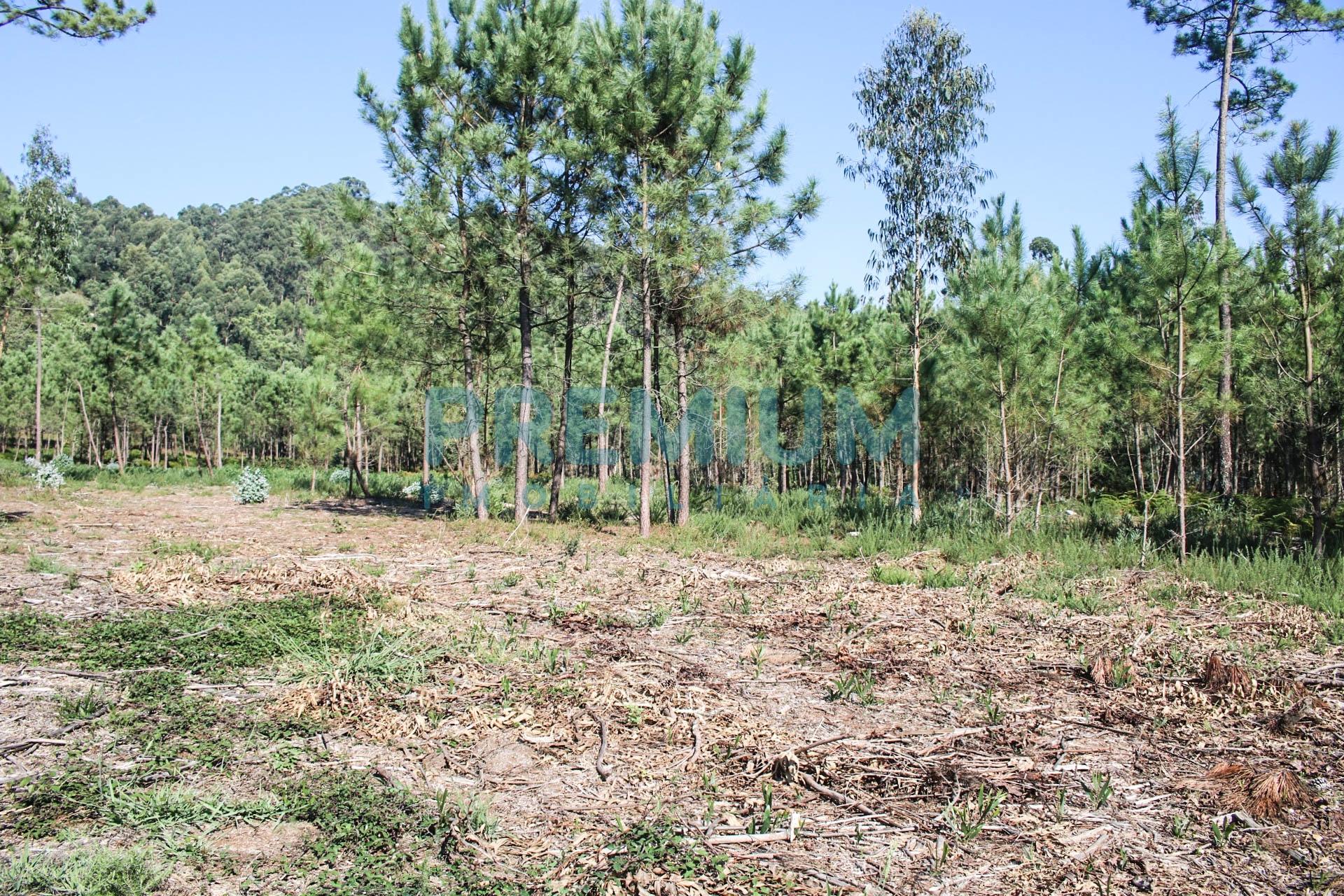 Terreno em Marinhas