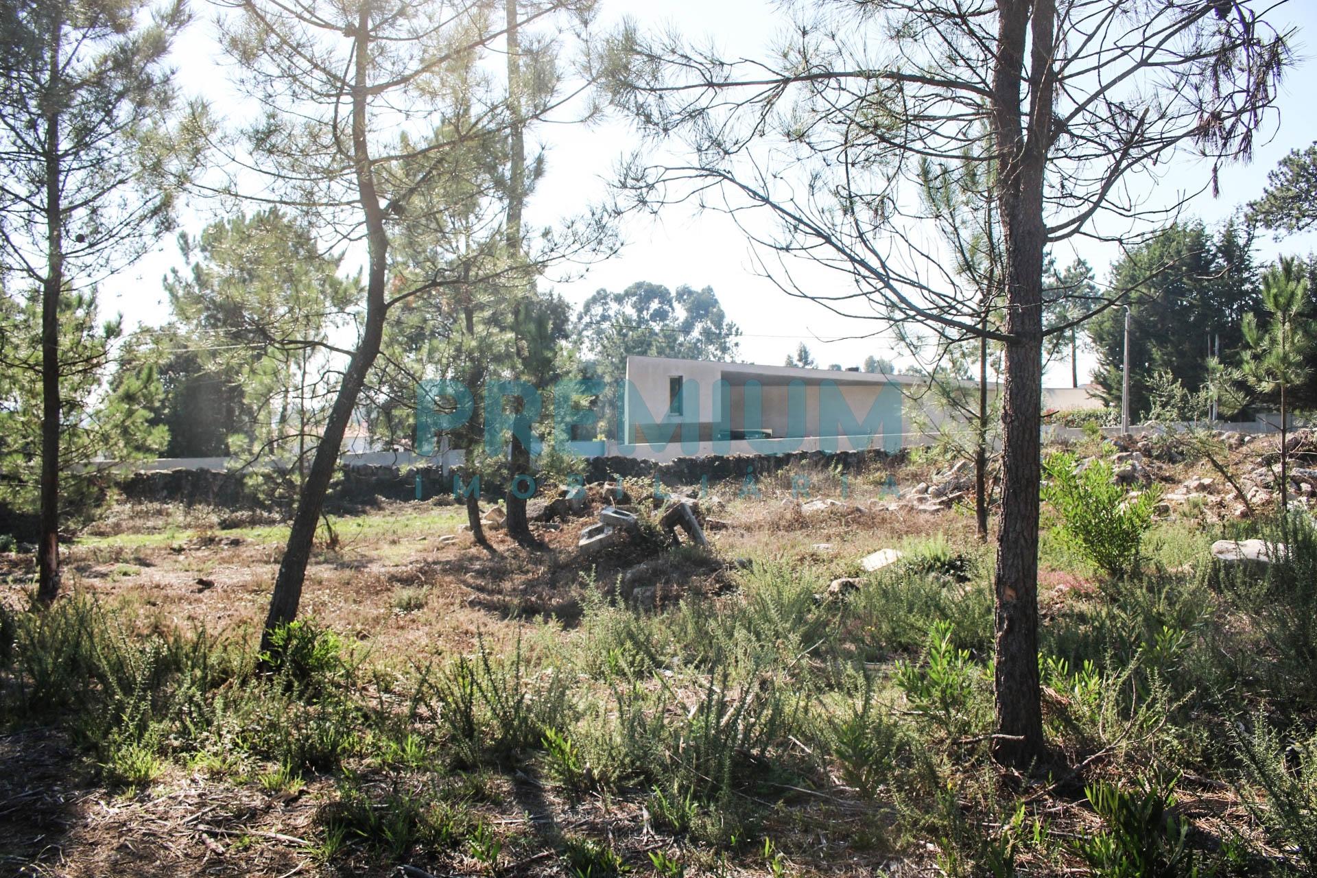 Terreno em Marinhas