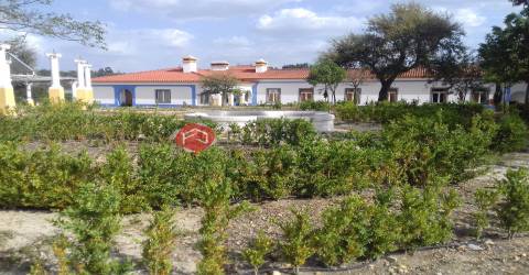 Palacete de Turismo Rural Ribatejano