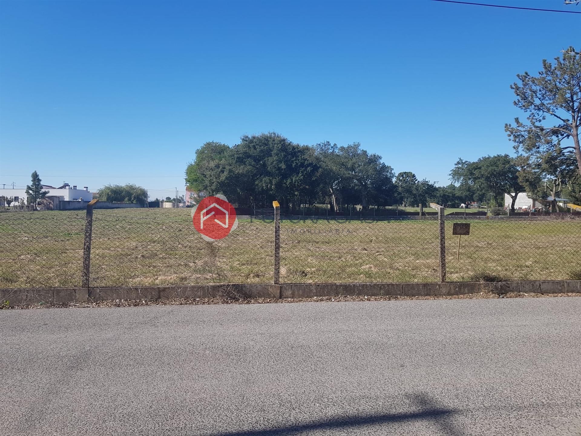 Terreno Para Construção  Venda em Salvaterra de Magos e Foros de Salvaterra,Salvaterra de Magos