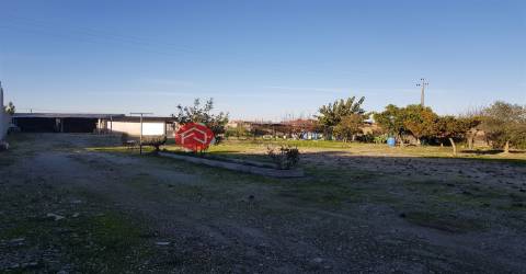 Terreno para Construção