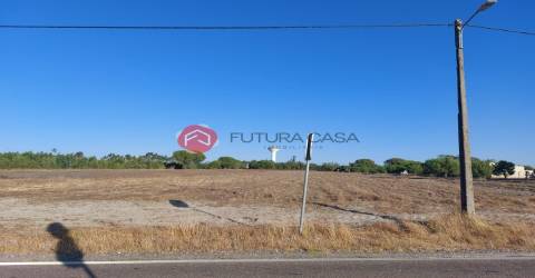 Terreno  Venda em Branca,Coruche