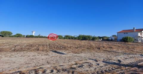 Terreno  Venda em Branca,Coruche