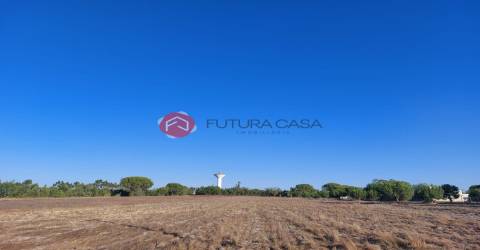 Terreno  Venda em Branca,Coruche