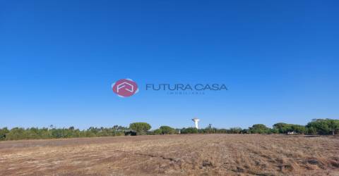 Terreno  Venda em Branca,Coruche