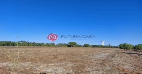 Terreno  Venda em Branca,Coruche