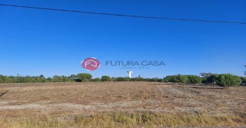 Terreno  Venda em Branca,Coruche