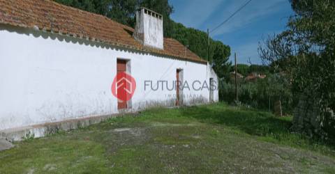 Quintinha com 2 habitações, no concelho de Coruche